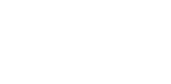 PT of the City