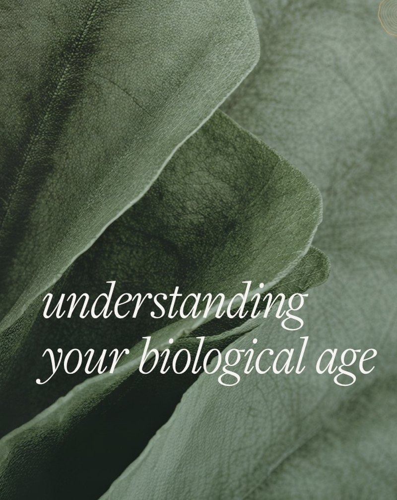 Sequoia Clinic post template with a leaf photo and the headline “understanding your biological age”
