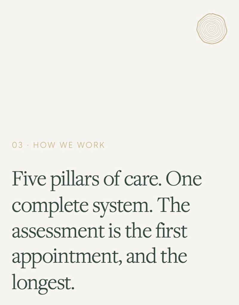 Carousel slide template about the clinic’s pillars of care