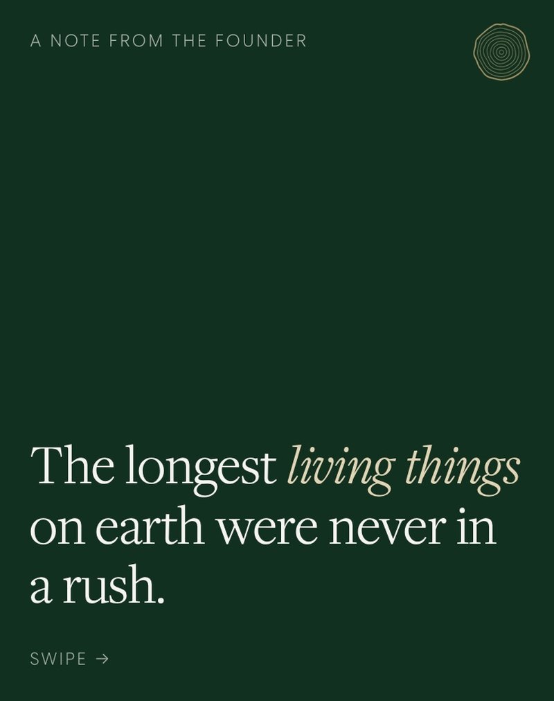 Carousel cover template: “The longest living things on earth were never in a rush.”