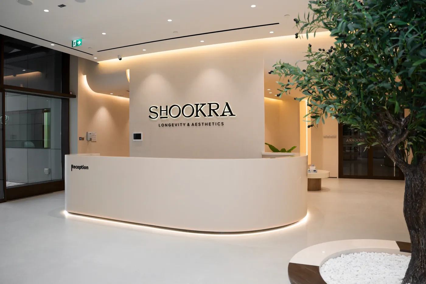 The reception at Shookra Palm Jumeirah, with an olive tree beside the desk